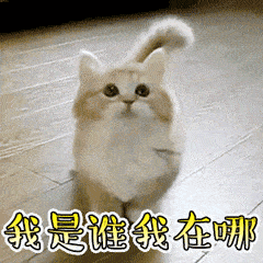有了黄瓜视频app网站切割引导标志，妈妈再也不用担心我迷路了